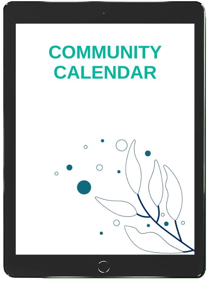 Main book cover preview with centered layout and star decoration